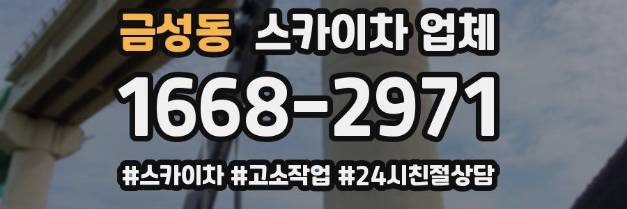 금성동 스카이차 업체