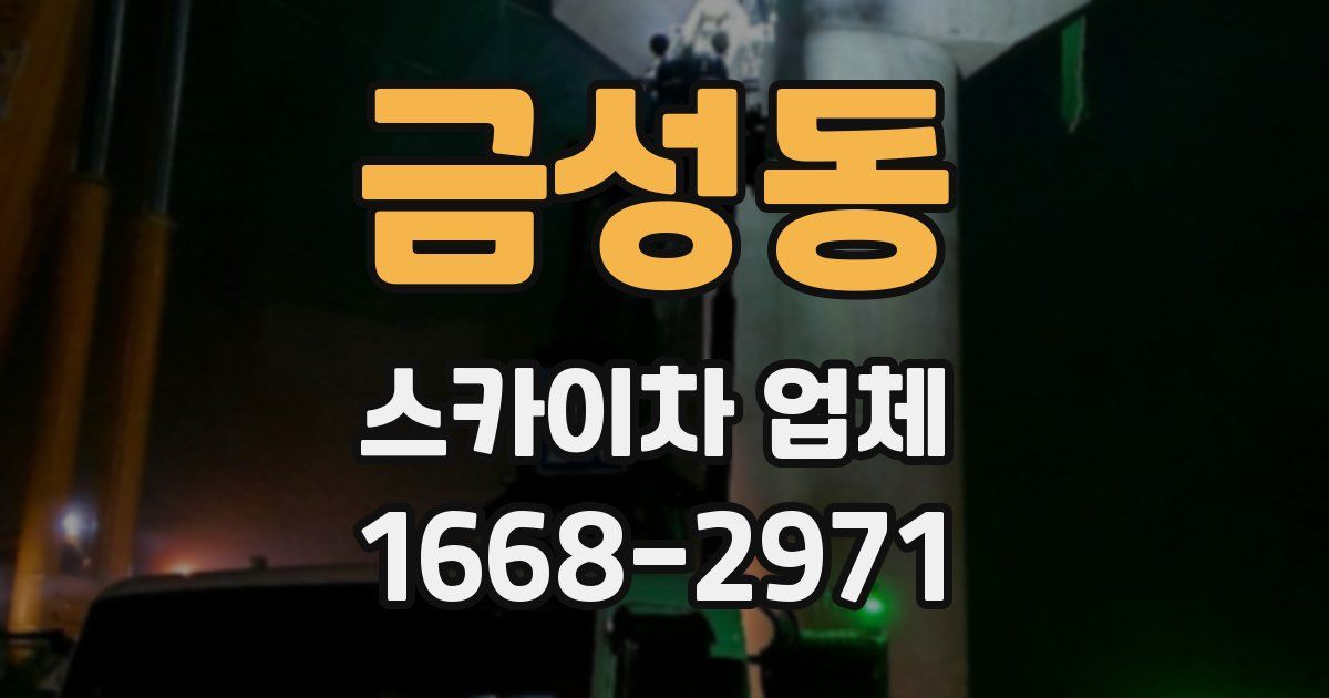 금성동 스카이차 업체