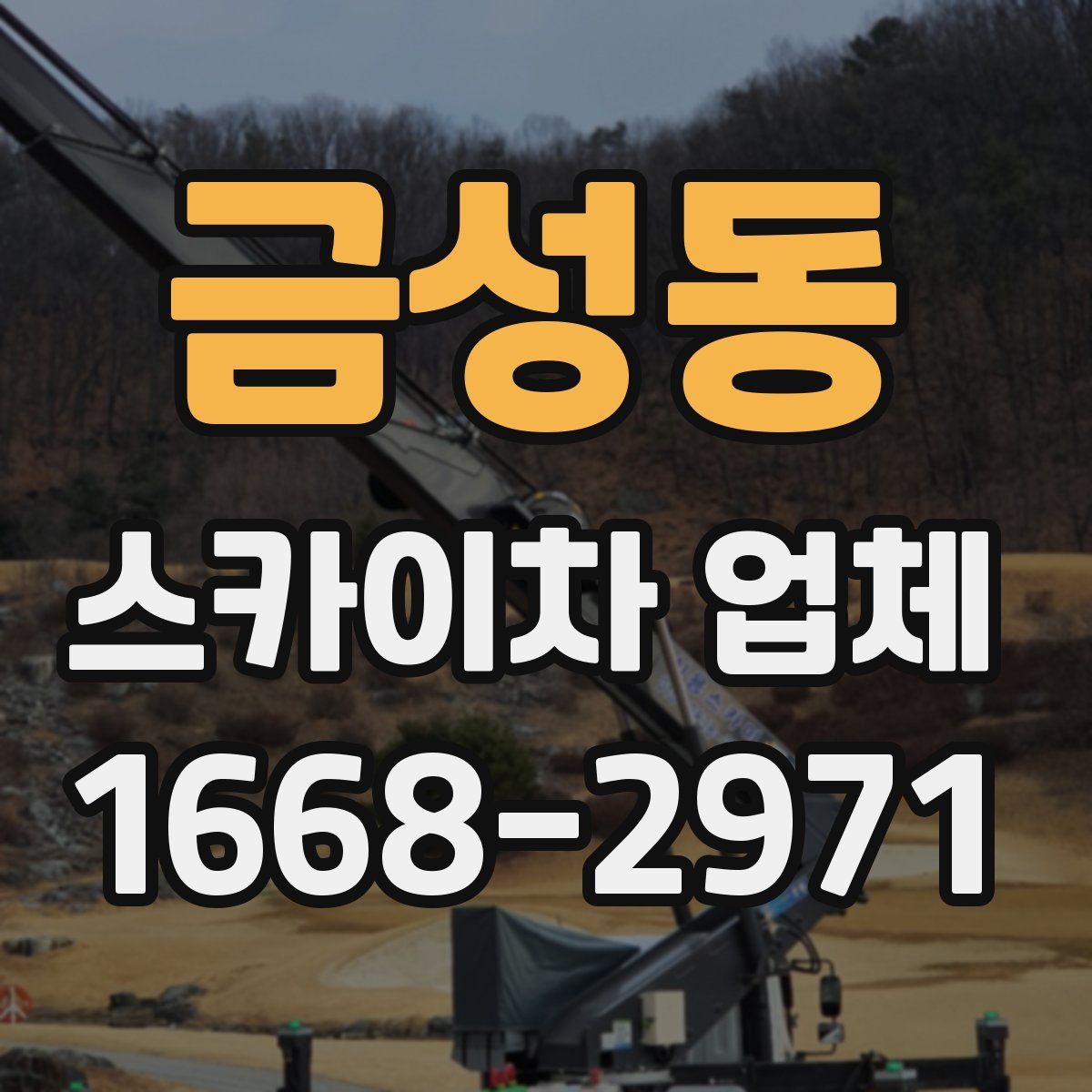 금성동 스카이차 업체