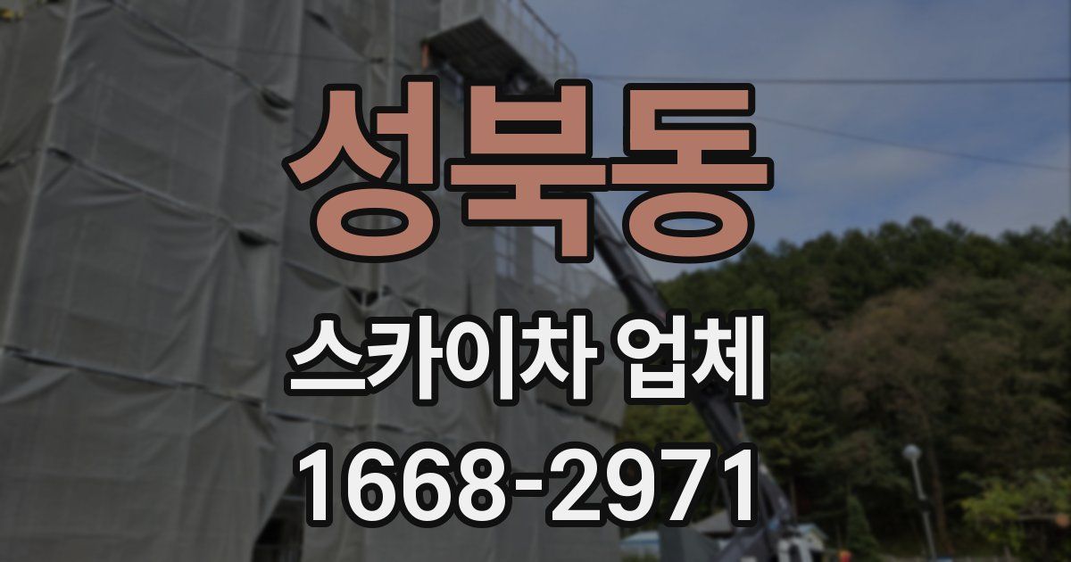 성북동 스카이차 업체