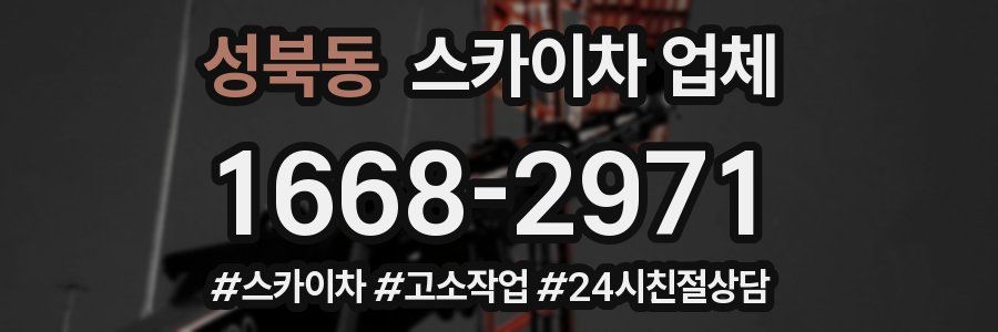 성북동 스카이차 업체