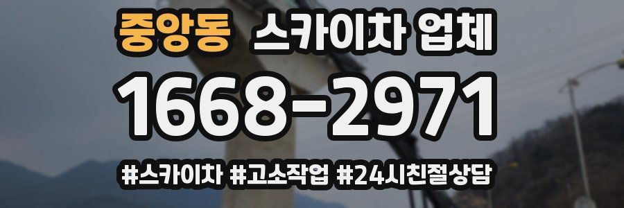 중앙동 스카이차 업체