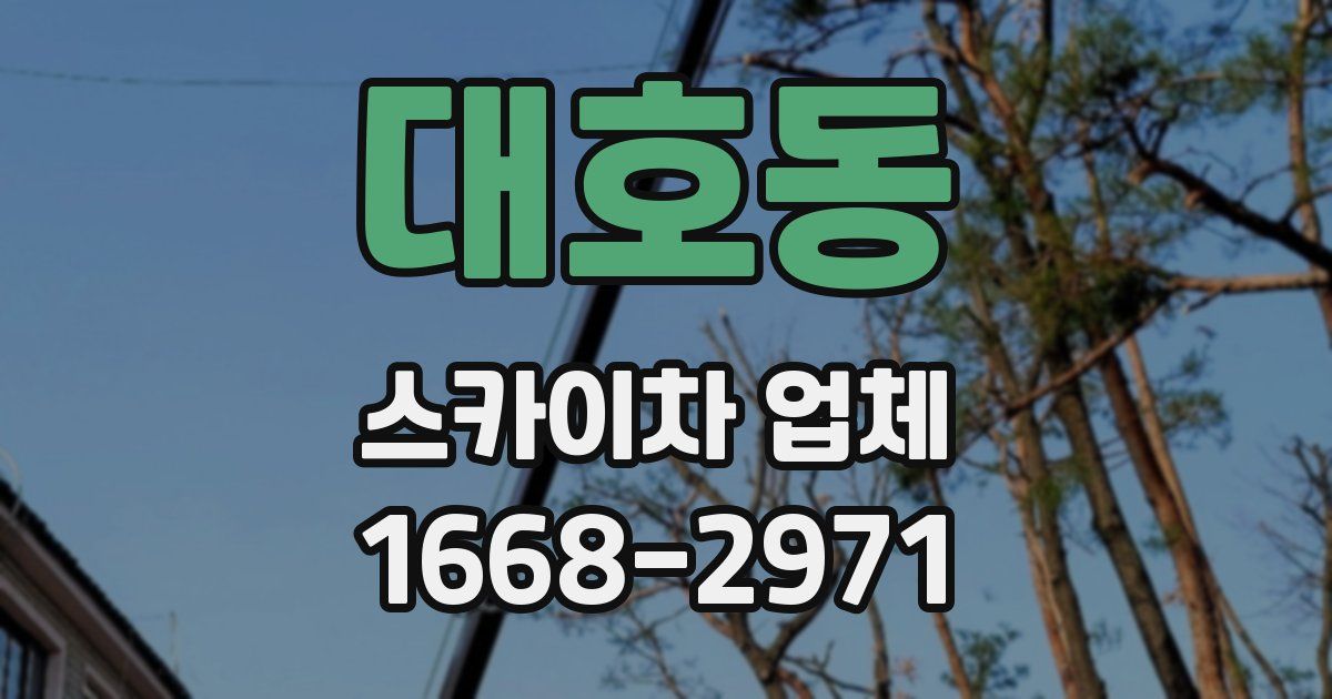 대호동 스카이차 업체