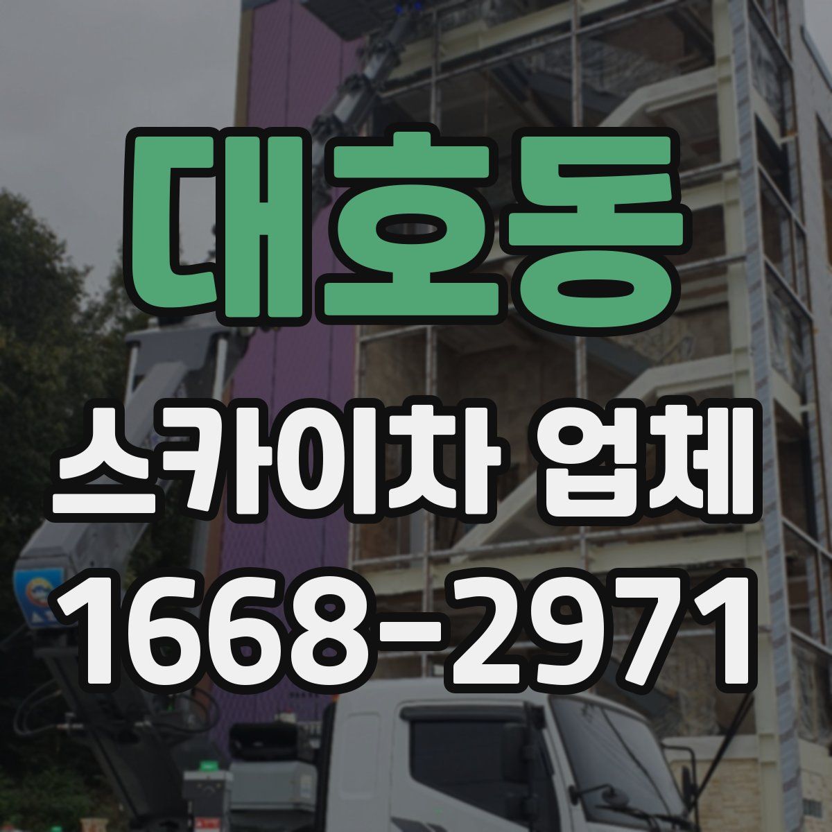 대호동 스카이차 업체