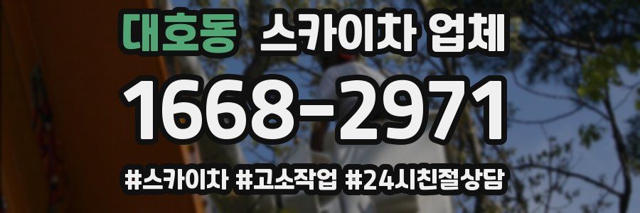 대호동 스카이차 업체