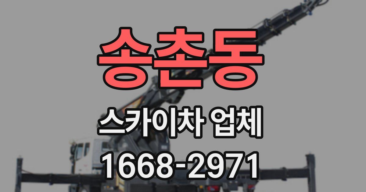송촌동 스카이차 업체