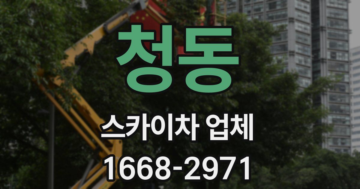청동 스카이차 업체