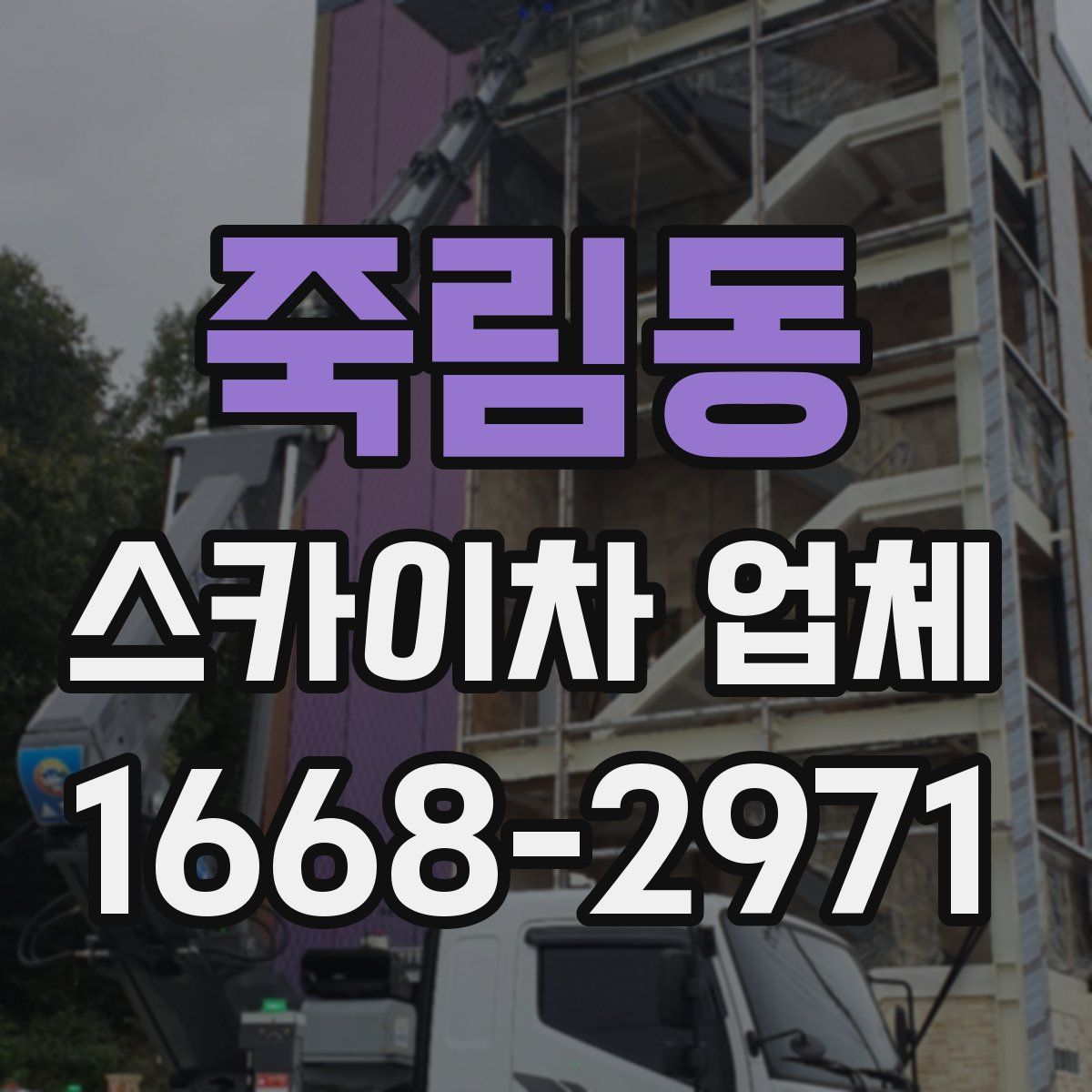 죽림동 스카이차 업체