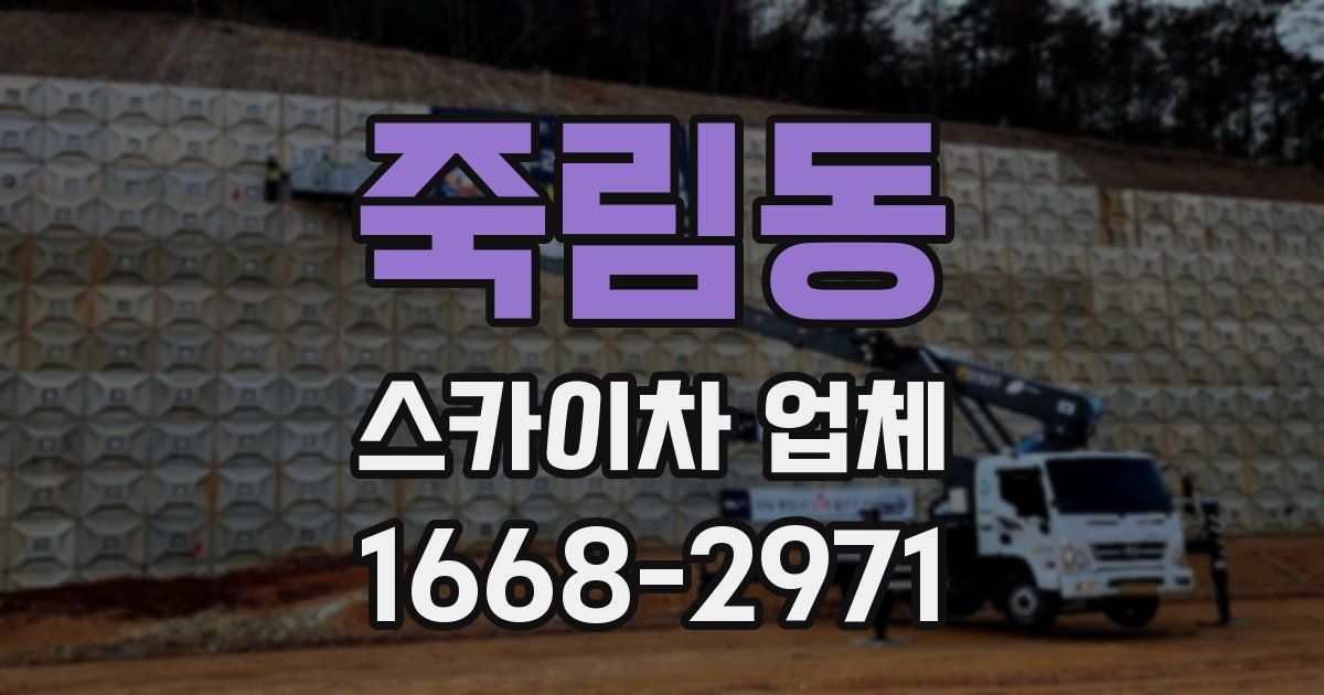 죽림동 스카이차 업체