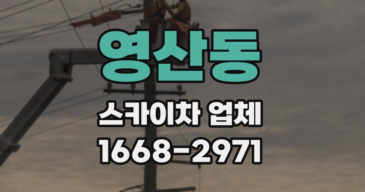 영산동 스카이차 업체