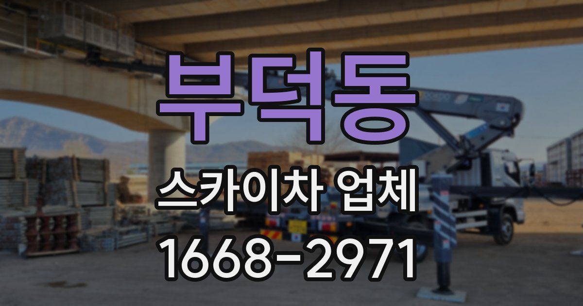 부덕동 스카이차 업체