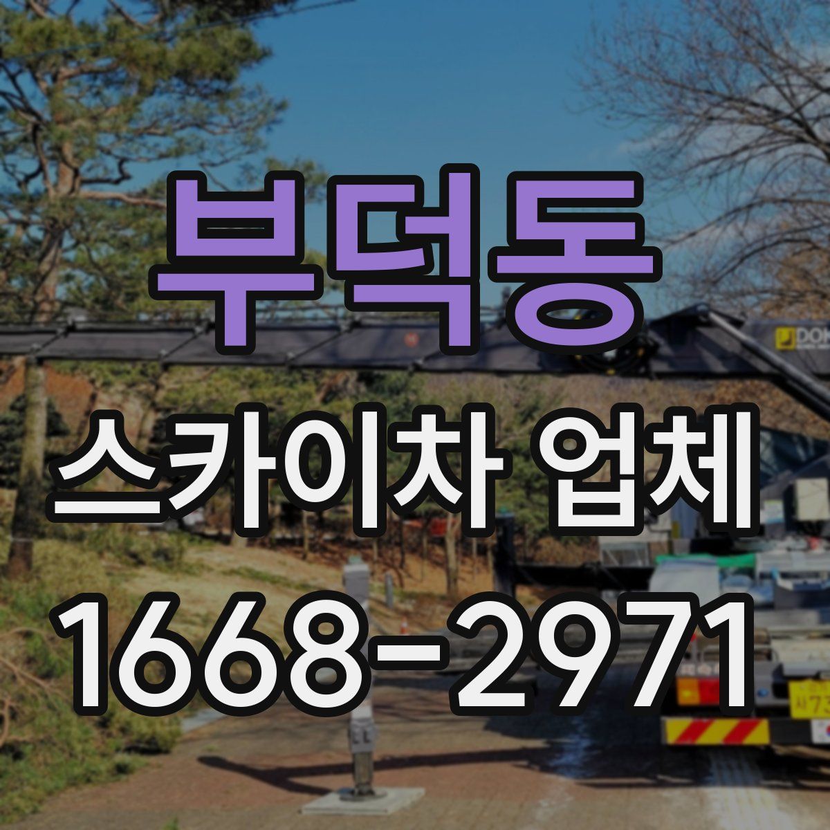 부덕동 스카이차 업체