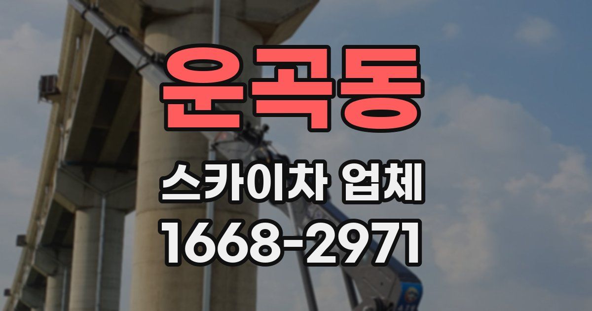 운곡동 스카이차 업체