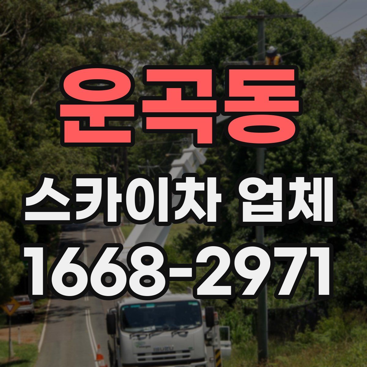 운곡동 스카이차 업체