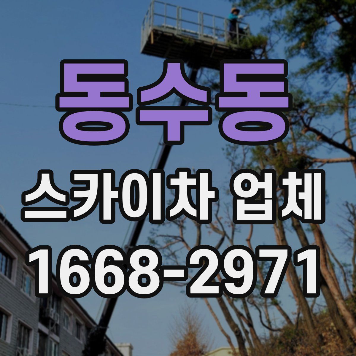 동수동 스카이차 업체