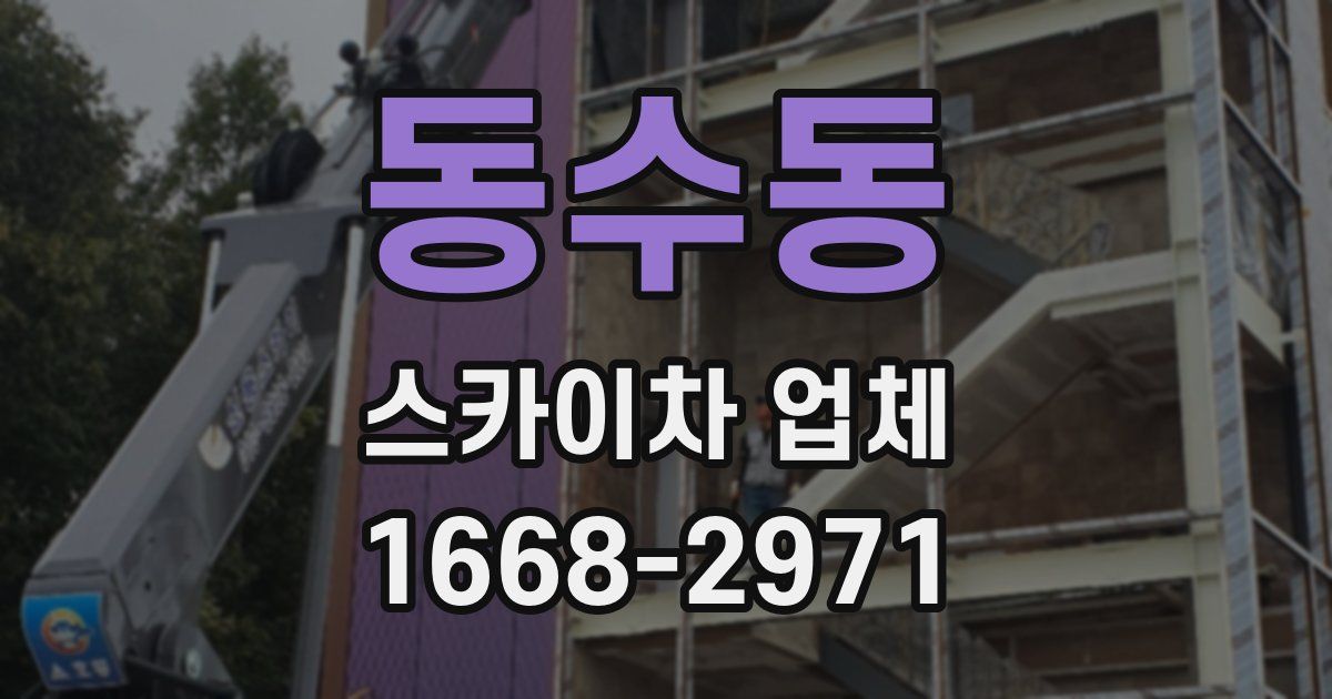동수동 스카이차 업체