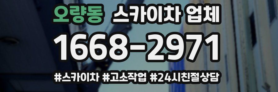 오량동 스카이차 업체
