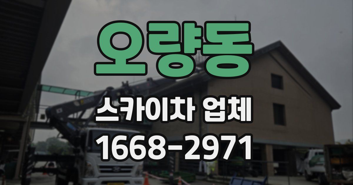 오량동 스카이차 업체