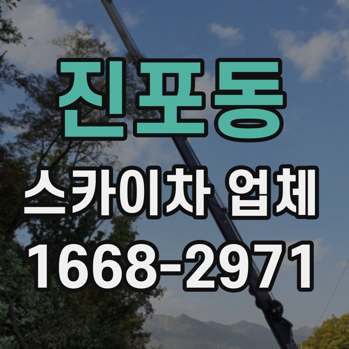진포동 스카이차 업체