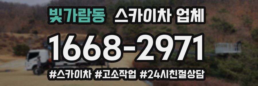 빛가람동 스카이차 업체