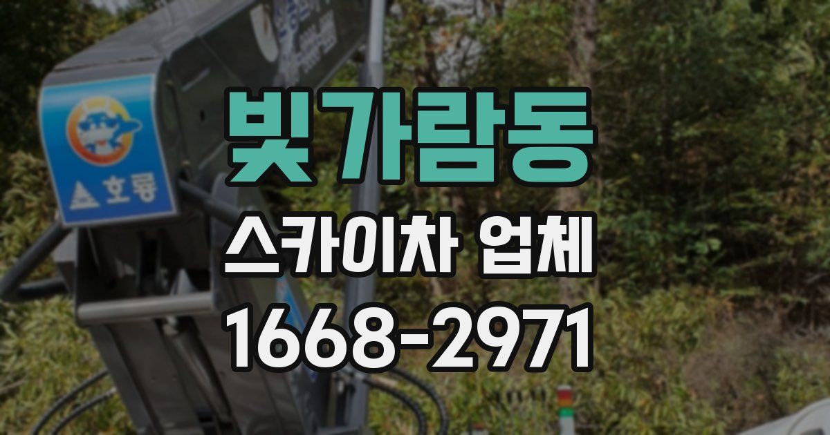 빛가람동 스카이차 업체