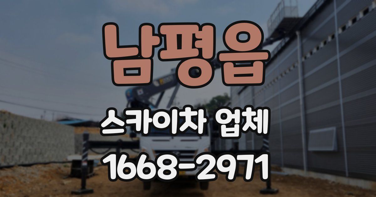 남평읍 스카이차 업체