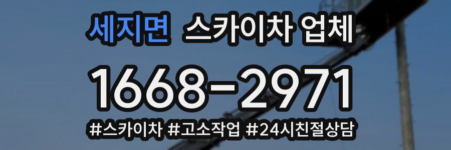 세지면 스카이차 업체