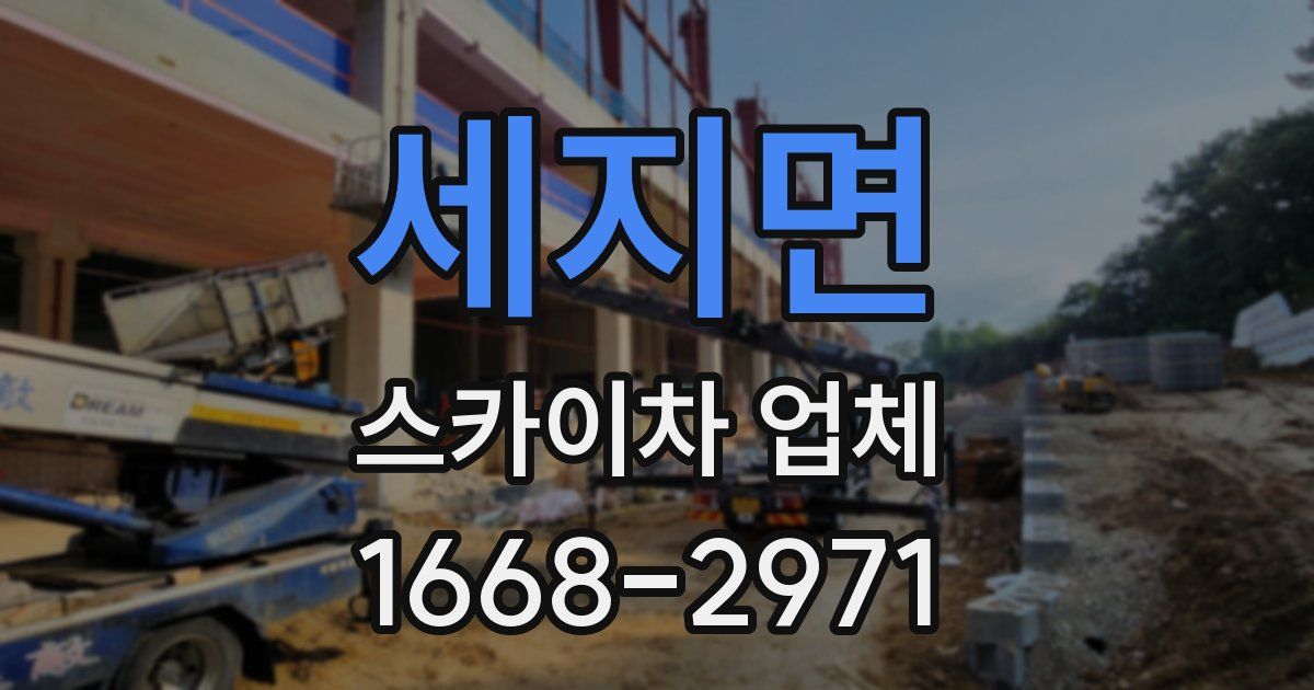 세지면 스카이차 업체