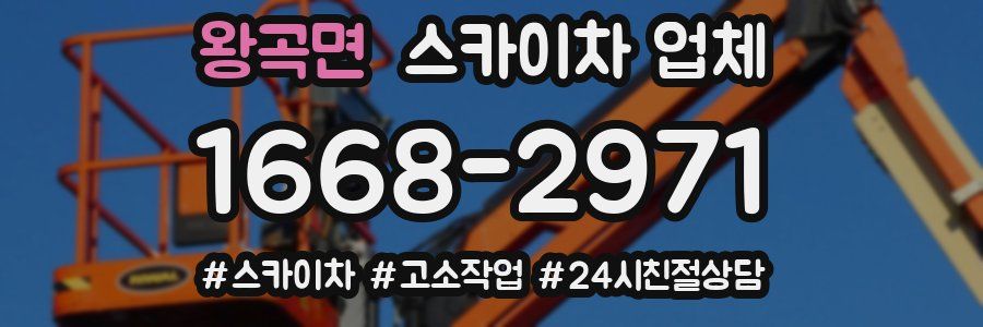 왕곡면 스카이차 업체