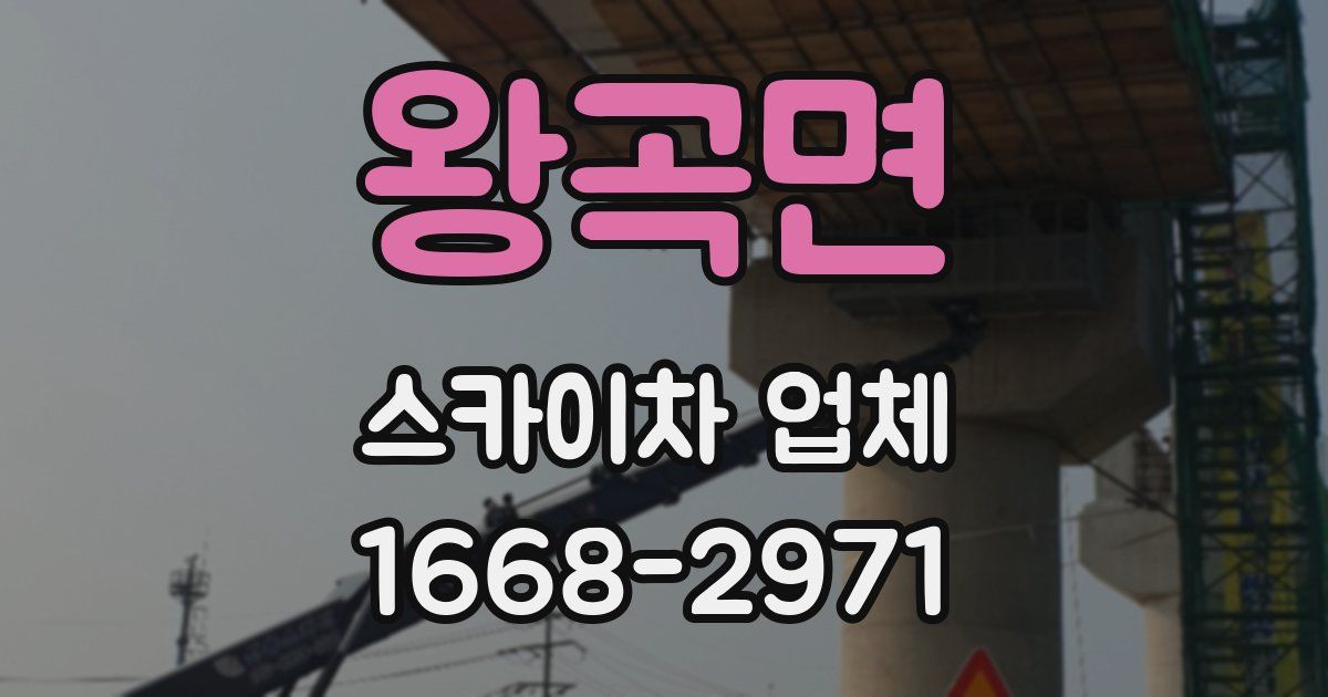 왕곡면 스카이차 업체