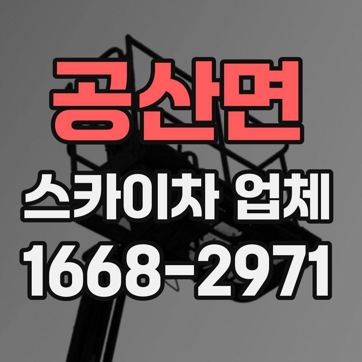 공산면 스카이차 업체