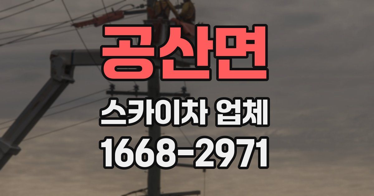 공산면 스카이차 업체