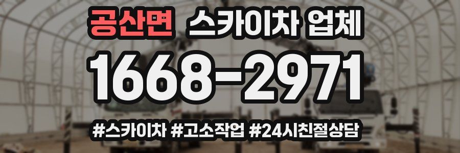 공산면 스카이차 업체