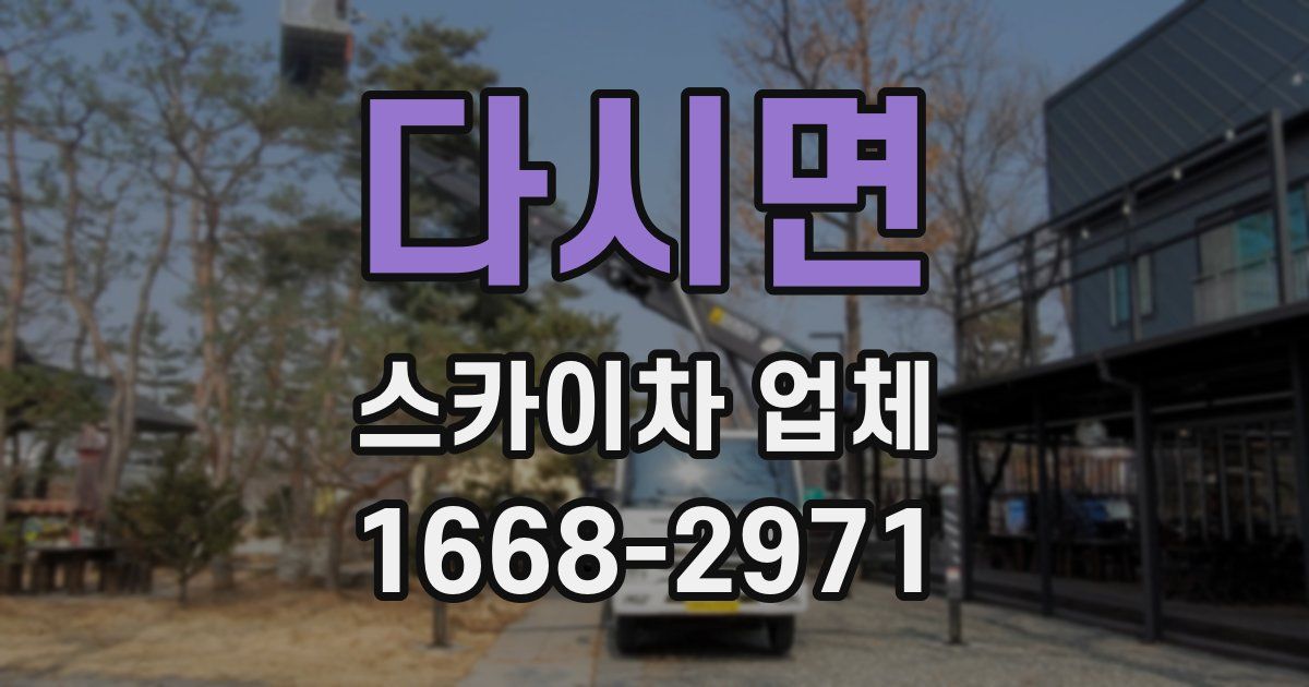 다시면 스카이차 업체