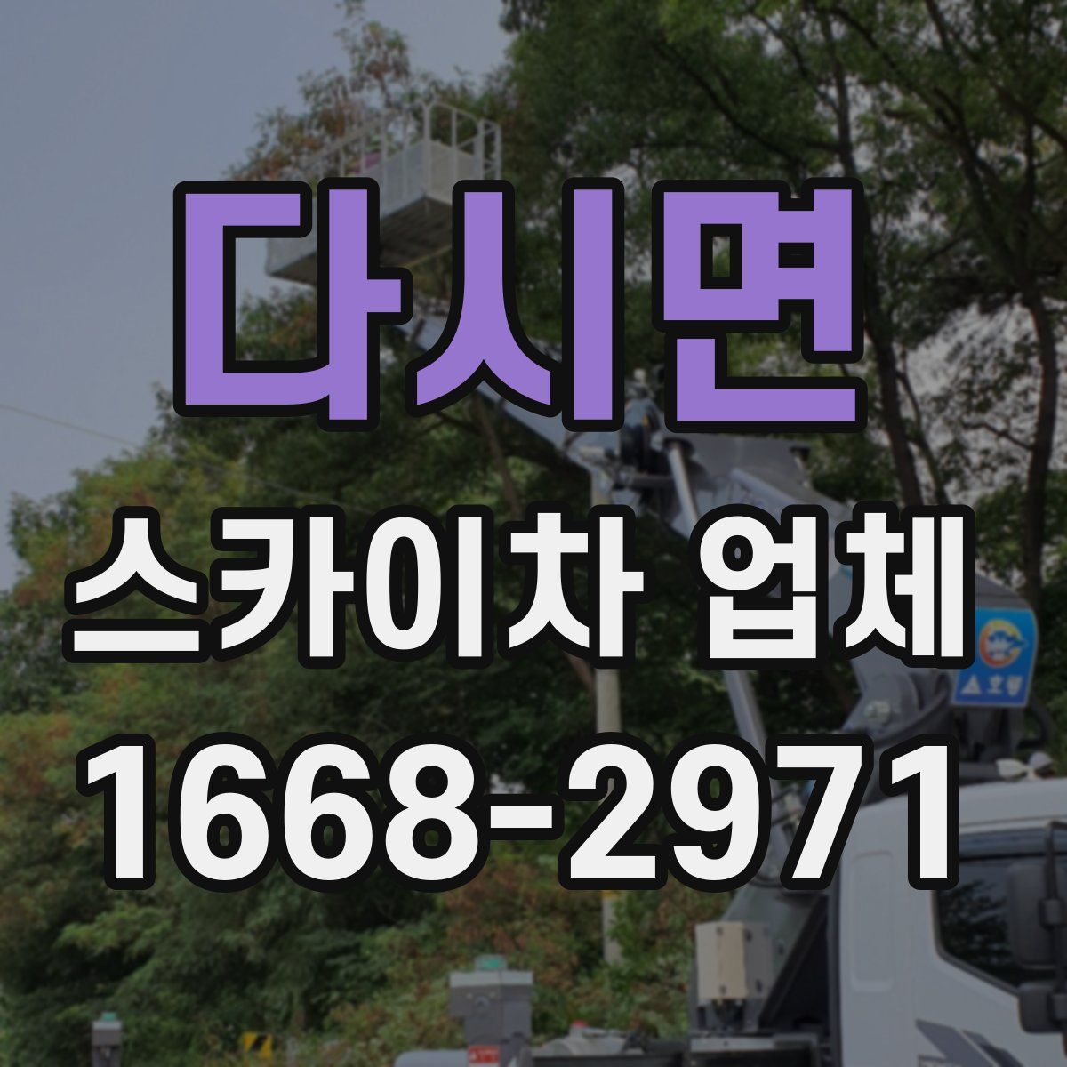 다시면 스카이차 업체