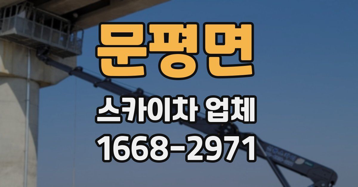 문평면 스카이차 업체