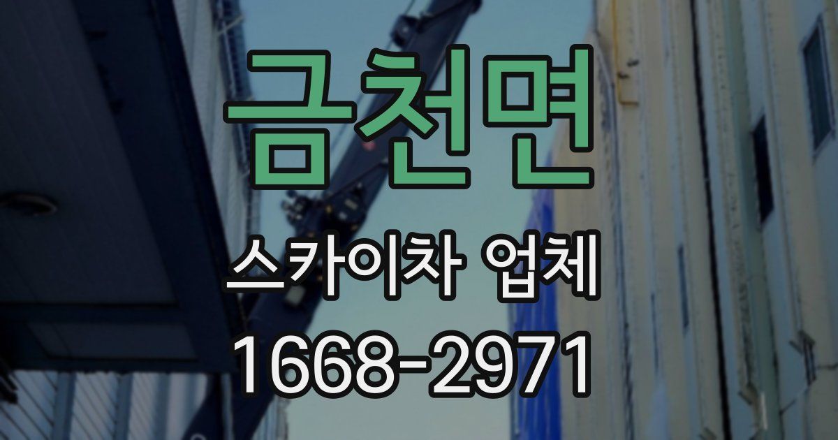 금천면 스카이차 업체
