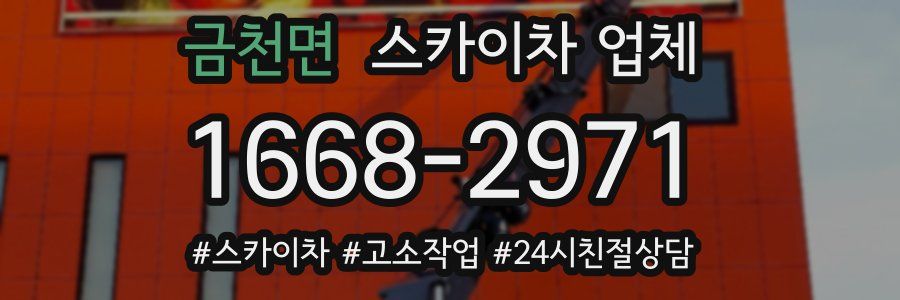 금천면 스카이차 업체