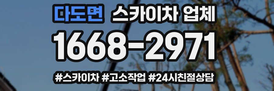 다도면 스카이차 업체