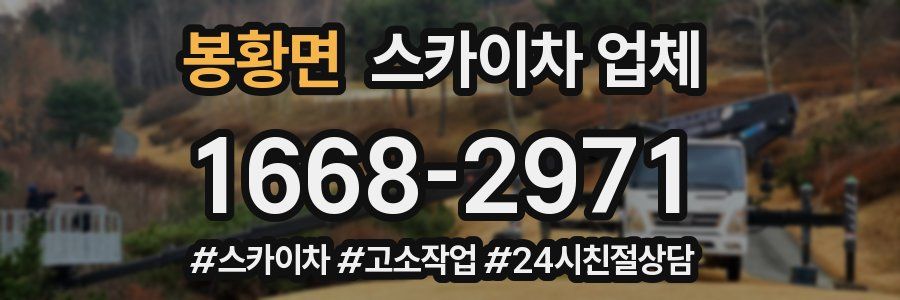 봉황면 스카이차 업체