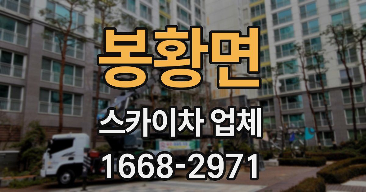 봉황면 스카이차 업체