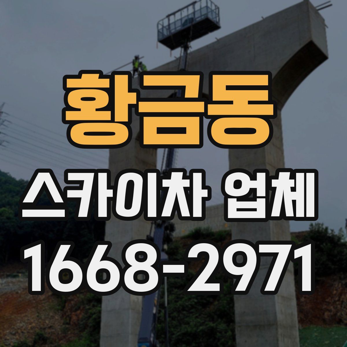 황금동 스카이차 업체