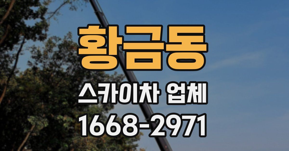 황금동 스카이차 업체