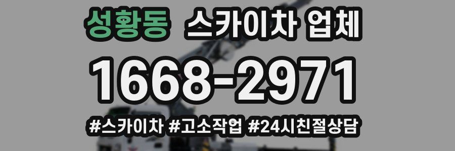 성황동 스카이차 업체