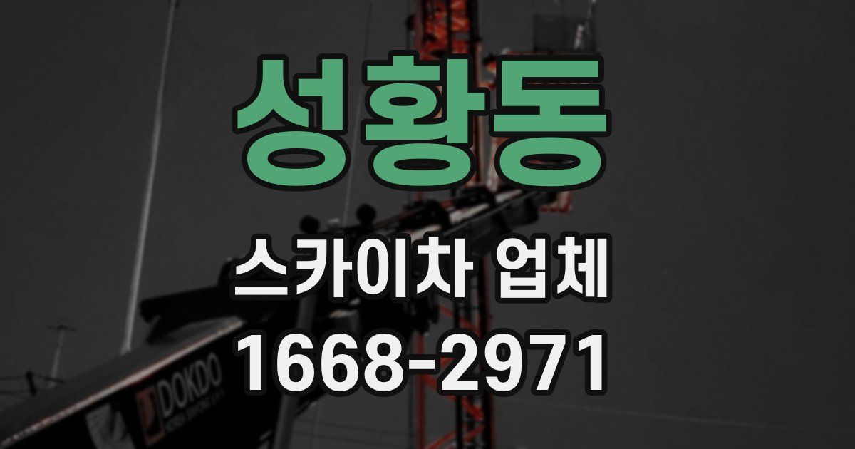 성황동 스카이차 업체