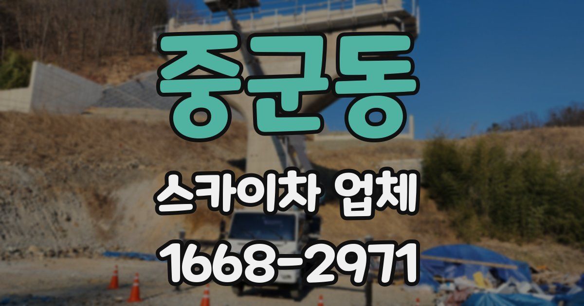 중군동 스카이차 업체