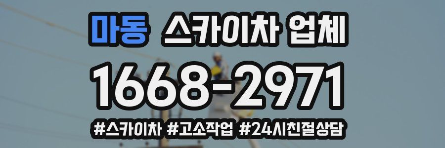 마동 스카이차 업체