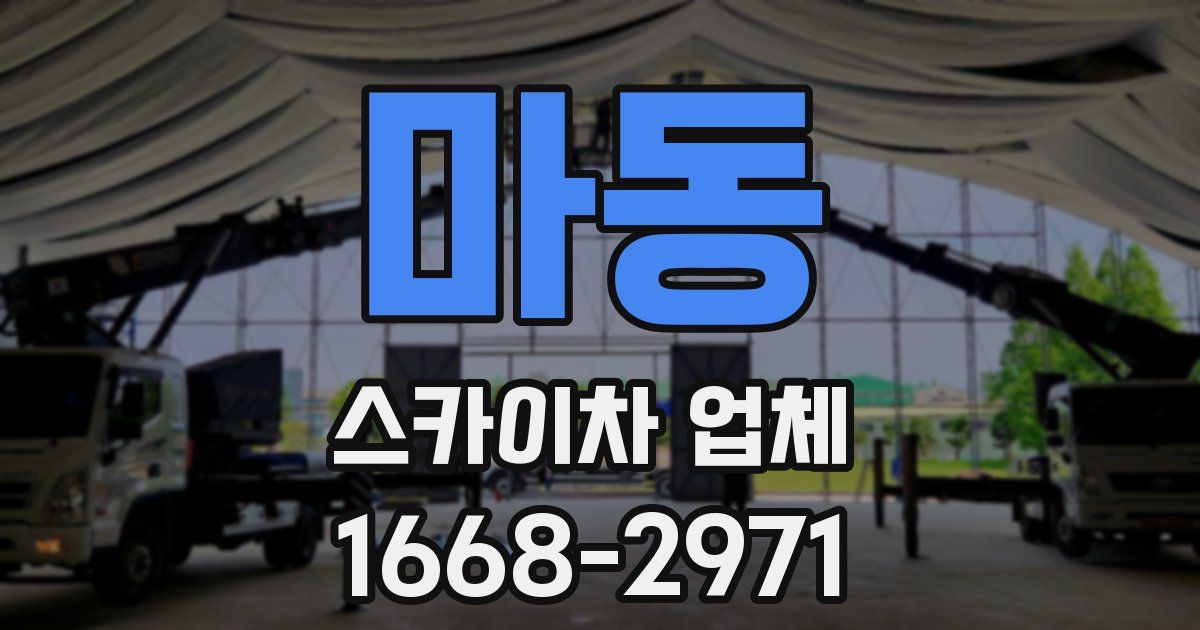 마동 스카이차 업체