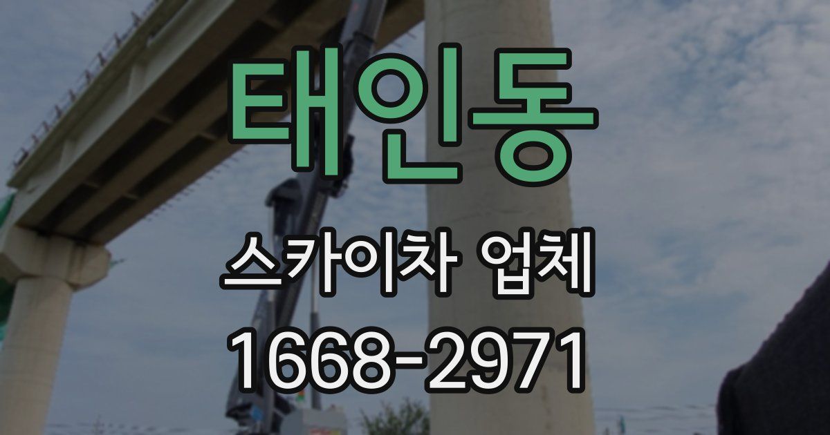 태인동 스카이차 업체