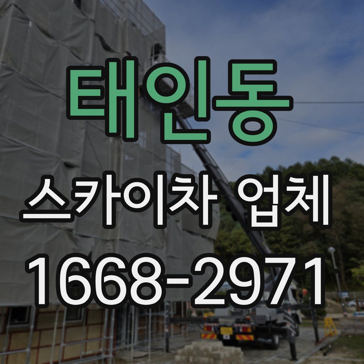 태인동 스카이차 업체